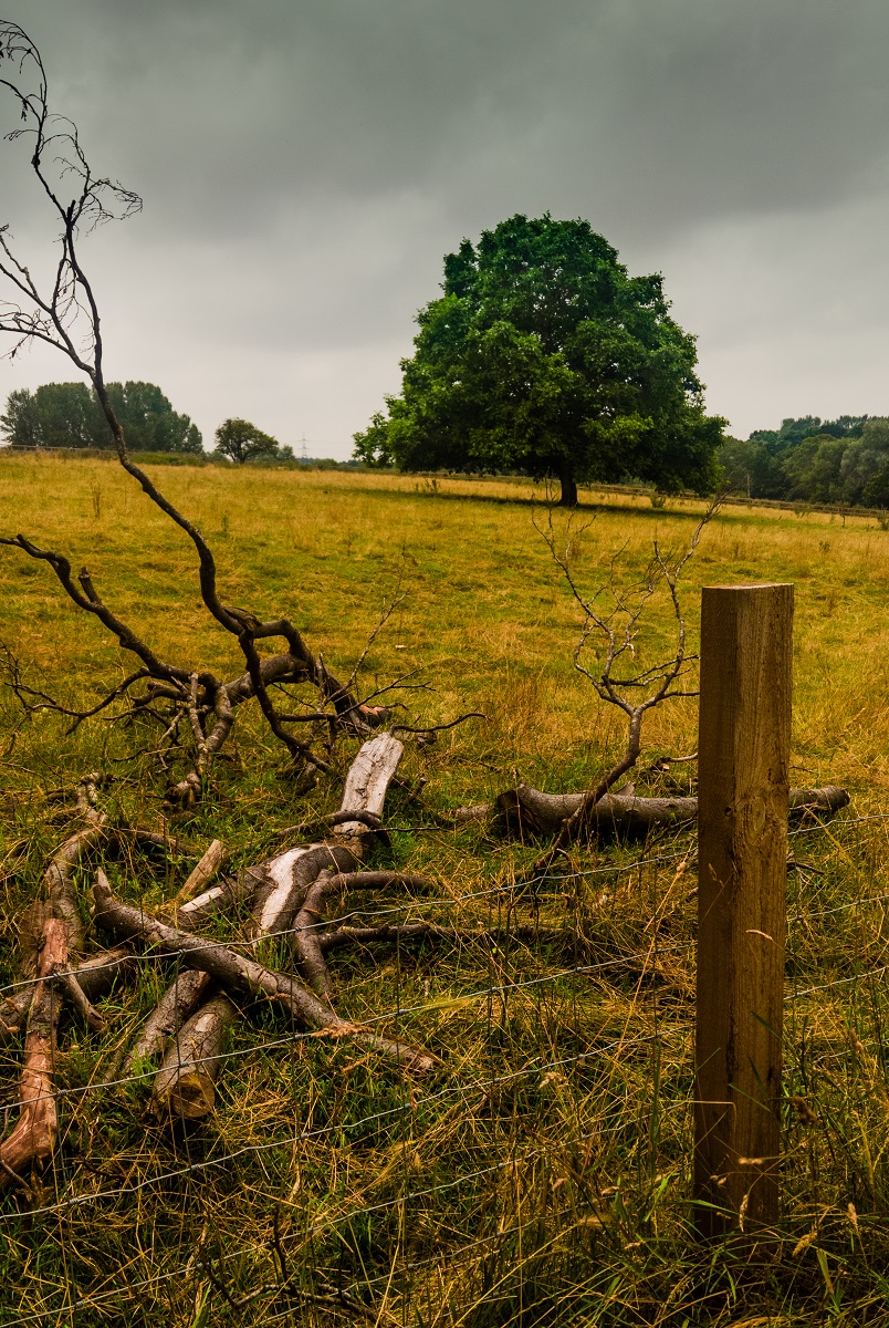 Fence View is a Landscape photograph by Dean Middleton.