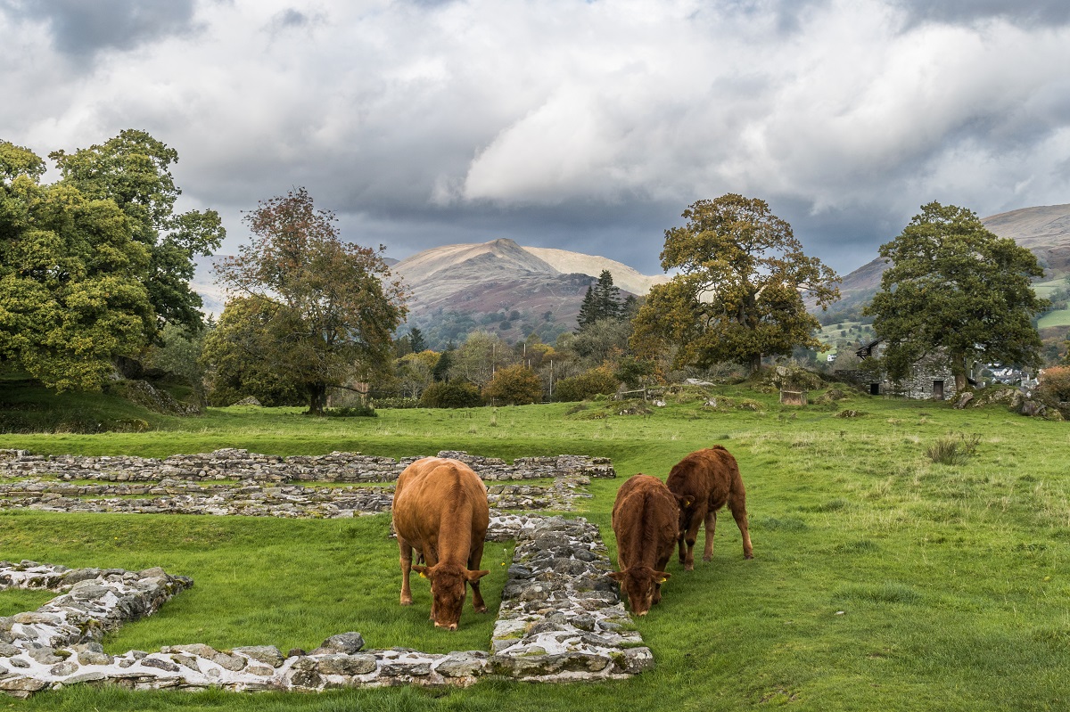 Lunch With A View is a Landscape Photograph by Dean Middleton