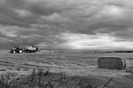 Baling Time is an Landscape Photograph by Dean Middleto