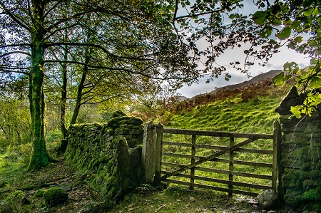 Moss Gate is a Landscape photograph by Dean Middleton