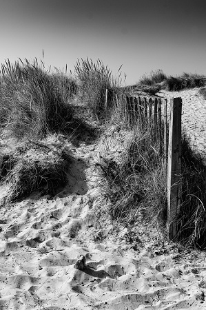Walberswick Dunes is a Seascape photograph by Dean Middleton