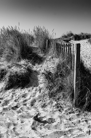 Walberswick Dunes is a Seascape photograph by Dean Middleton